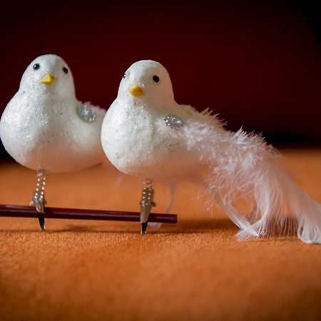 Вилла Two White Pigeons Ипр Номер фото