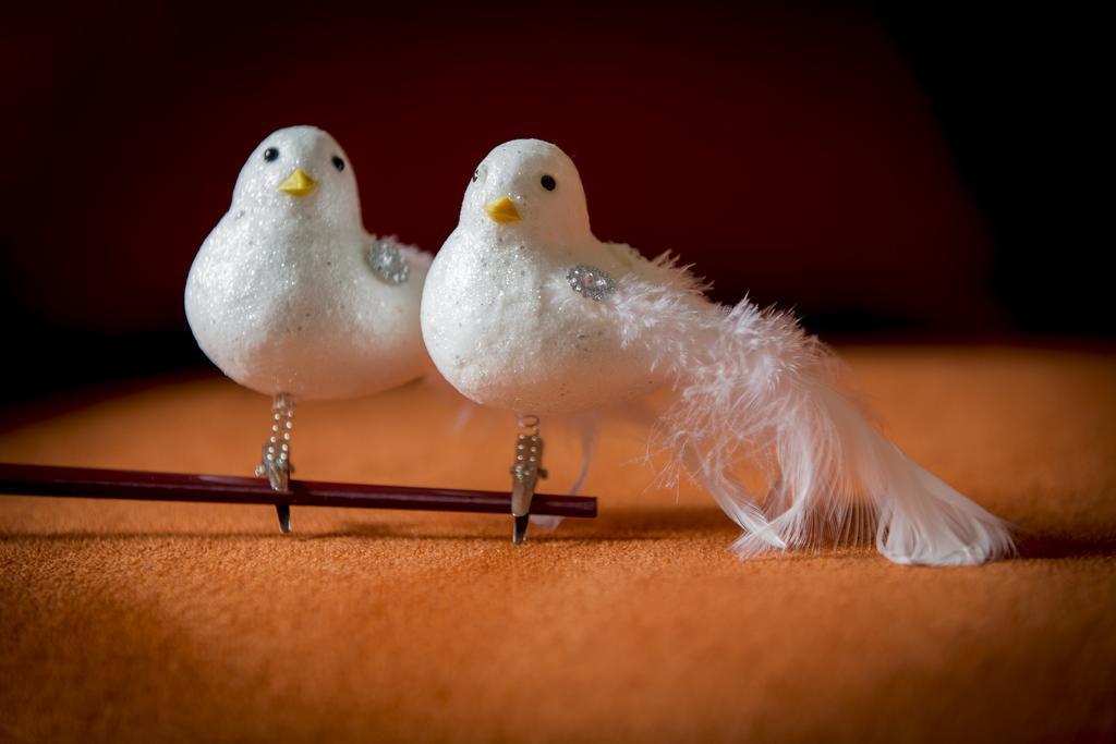 Вилла Two White Pigeons Ипр Номер фото